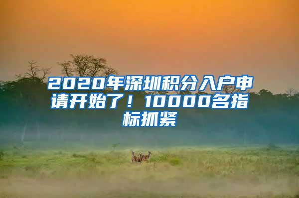 2020年深圳积分入户申请开始了！10000名指标抓紧