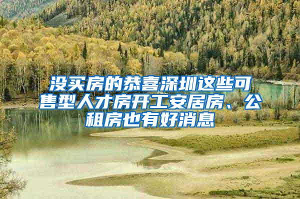 没买房的恭喜深圳这些可售型人才房开工安居房、公租房也有好消息