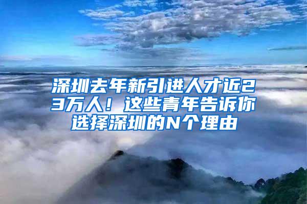 深圳去年新引进人才近23万人！这些青年告诉你选择深圳的N个理由