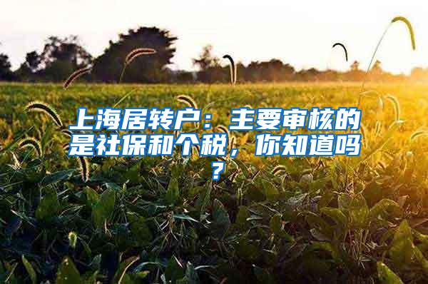 上海居转户：主要审核的是社保和个税，你知道吗？