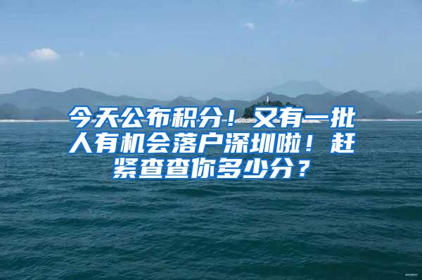 今天公布积分！又有一批人有机会落户深圳啦！赶紧查查你多少分？