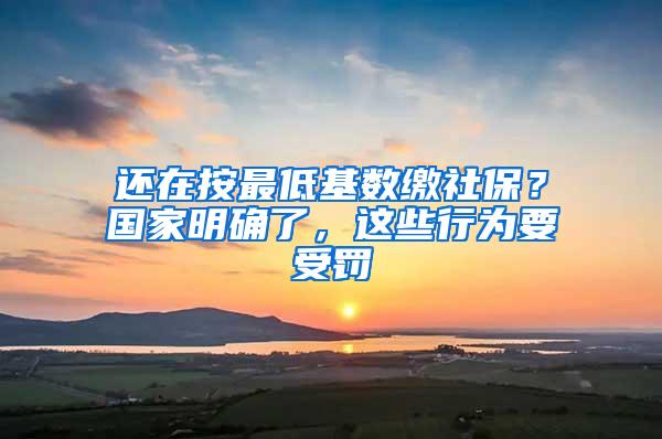 还在按最低基数缴社保？国家明确了，这些行为要受罚