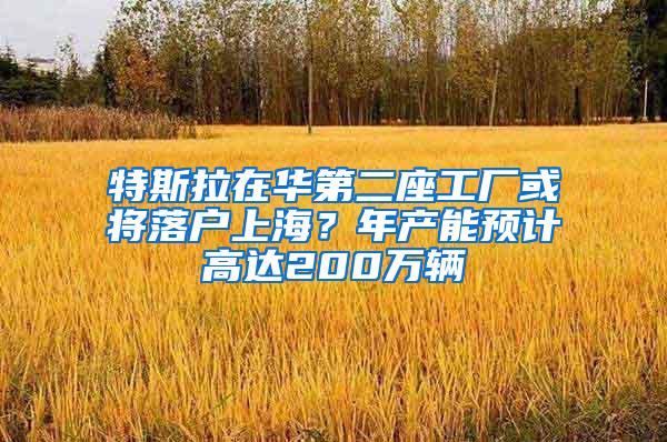 特斯拉在华第二座工厂或将落户上海？年产能预计高达200万辆