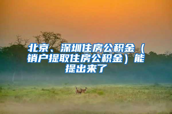 北京、深圳住房公积金（销户提取住房公积金）能提出来了