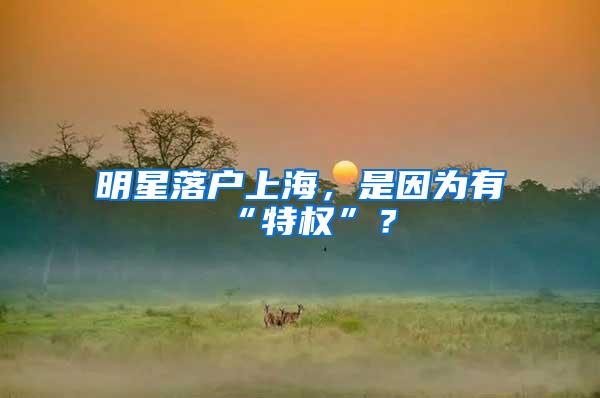 明星落户上海，是因为有“特权”？