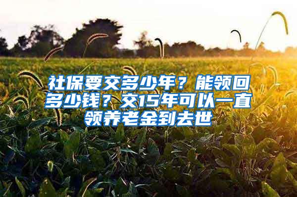 社保要交多少年？能领回多少钱？交15年可以一直领养老金到去世