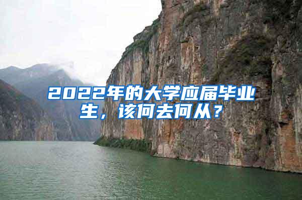 2022年的大学应届毕业生，该何去何从？