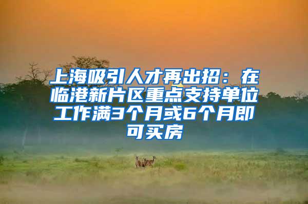 上海吸引人才再出招：在临港新片区重点支持单位工作满3个月或6个月即可买房