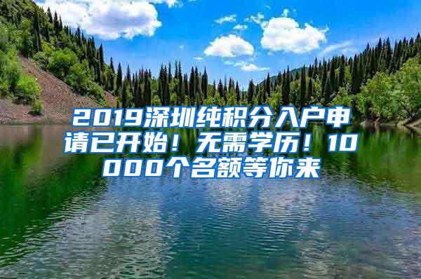 2019深圳纯积分入户申请已开始！无需学历！10000个名额等你来