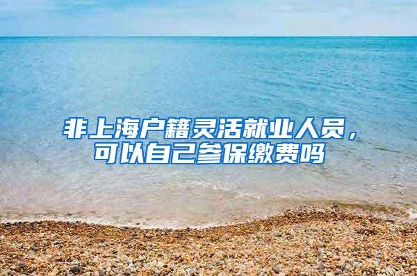 非上海户籍灵活就业人员，可以自己参保缴费吗