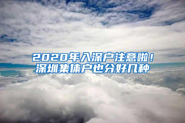 2020年入深户注意啦！深圳集体户也分好几种