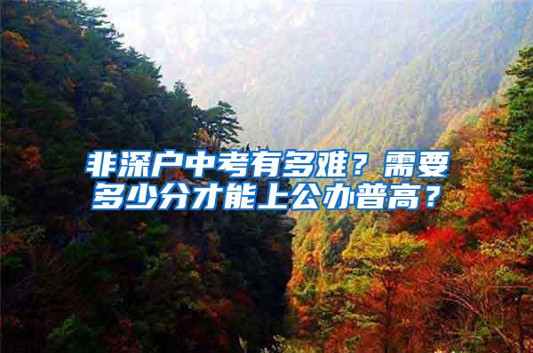 非深户中考有多难？需要多少分才能上公办普高？