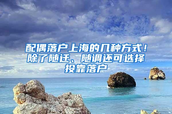 配偶落户上海的几种方式！除了随迁、随调还可选择投靠落户