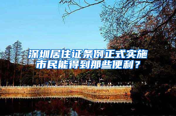 深圳居住证条例正式实施市民能得到那些便利？