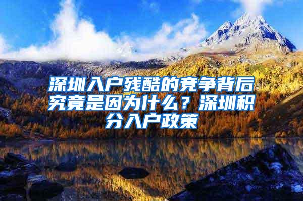 深圳入户残酷的竞争背后究竟是因为什么？深圳积分入户政策