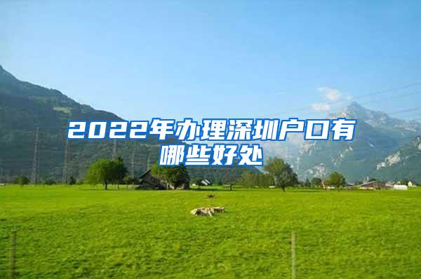 2022年办理深圳户口有哪些好处