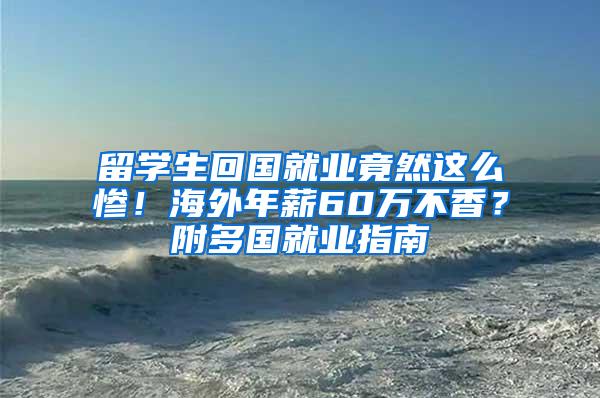 留学生回国就业竟然这么惨！海外年薪60万不香？附多国就业指南