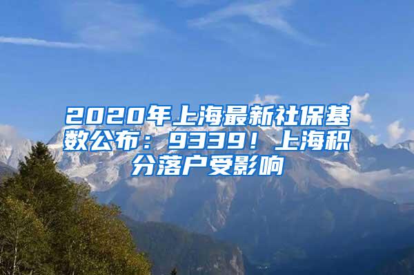 2020年上海最新社保基数公布：9339！上海积分落户受影响