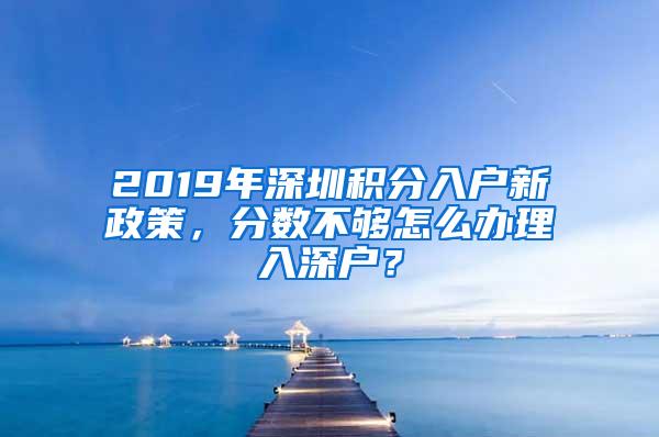 2019年深圳积分入户新政策，分数不够怎么办理入深户？