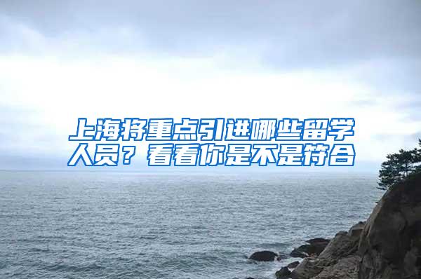 上海将重点引进哪些留学人员？看看你是不是符合→