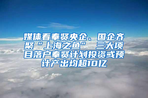 媒体看奉贤央企、国企齐聚“上海之鱼” 三大项目落户奉贤计划投资或预计产出均超10亿