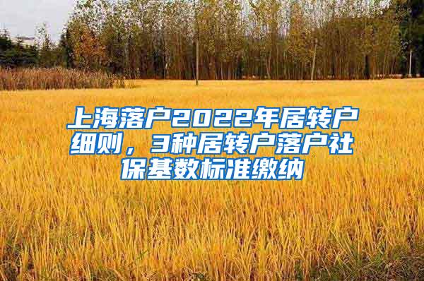 上海落户2022年居转户细则，3种居转户落户社保基数标准缴纳