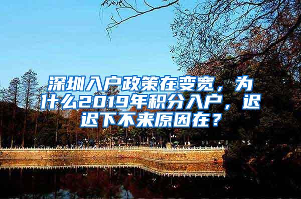 深圳入户政策在变宽，为什么2019年积分入户，迟迟下不来原因在？