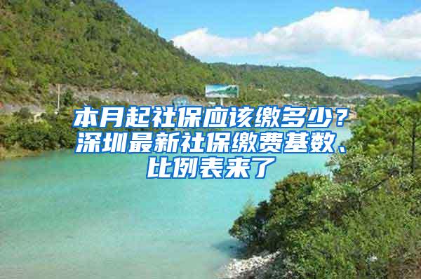 本月起社保应该缴多少？深圳最新社保缴费基数、比例表来了