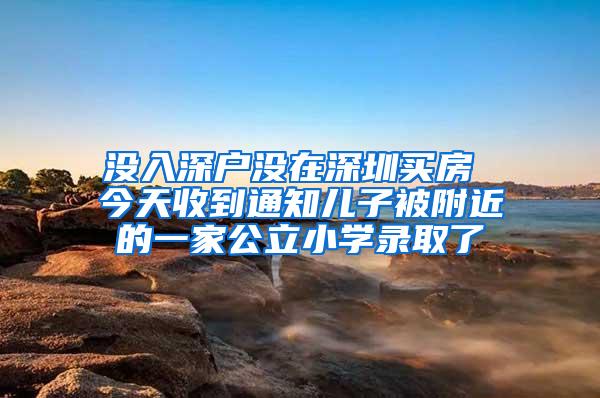 没入深户没在深圳买房 今天收到通知儿子被附近的一家公立小学录取了