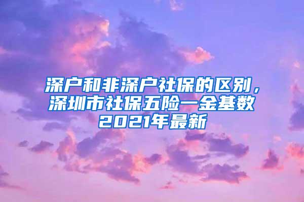 深户和非深户社保的区别，深圳市社保五险一金基数2021年最新