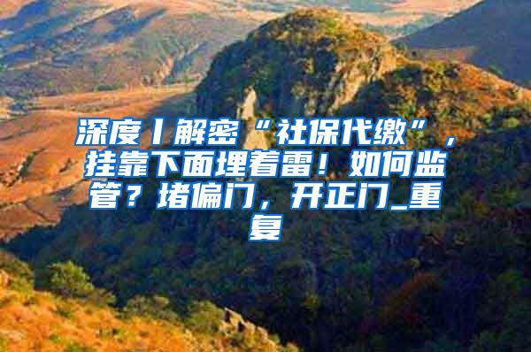 深度丨解密“社保代缴”，挂靠下面埋着雷！如何监管？堵偏门，开正门_重复