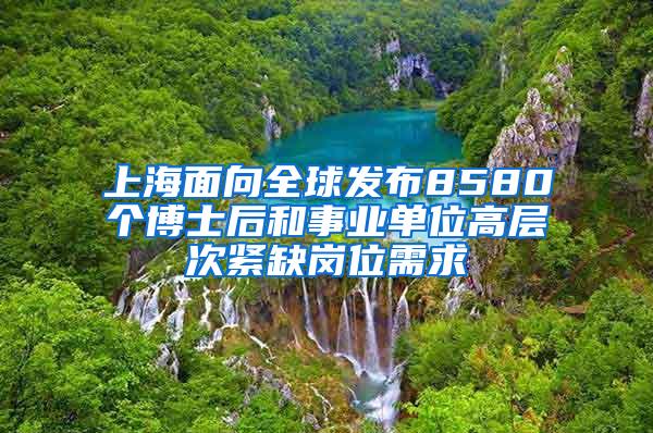 上海面向全球发布8580个博士后和事业单位高层次紧缺岗位需求