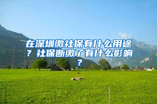 在深圳缴社保有什么用途？社保断缴了有什么影响？