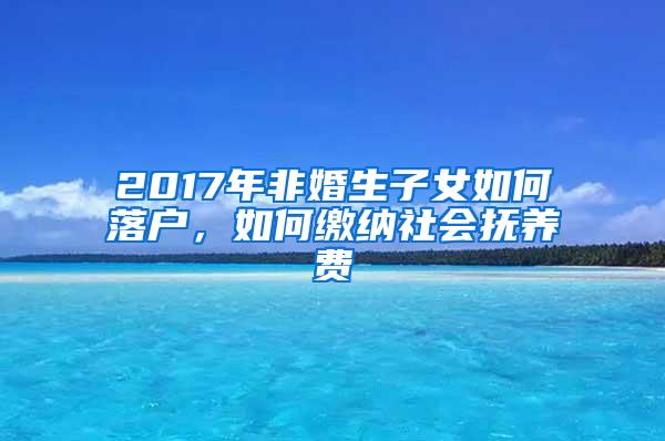 2017年非婚生子女如何落户，如何缴纳社会抚养费