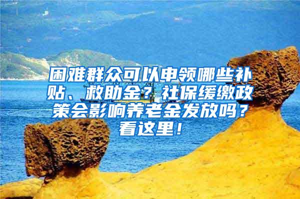 困难群众可以申领哪些补贴、救助金？社保缓缴政策会影响养老金发放吗？看这里！