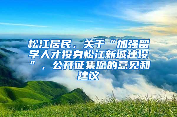 松江居民，关于“加强留学人才投身松江新城建设”，公开征集您的意见和建议→