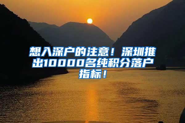 想入深户的注意！深圳推出10000名纯积分落户指标！