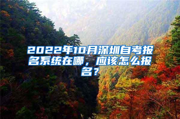 2022年10月深圳自考报名系统在哪，应该怎么报名？