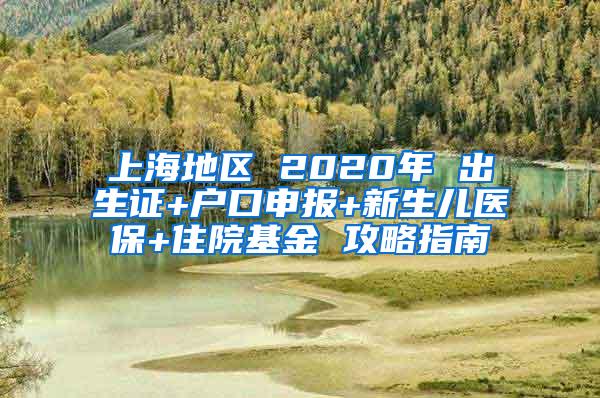 上海地区 2020年 出生证+户口申报+新生儿医保+住院基金 攻略指南