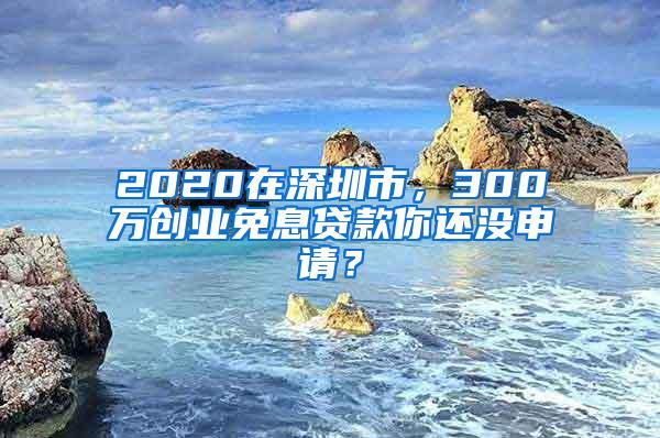 2020在深圳市，300万创业免息贷款你还没申请？