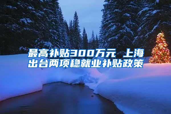 最高补贴300万元 上海出台两项稳就业补贴政策