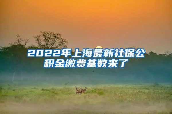 2022年上海最新社保公积金缴费基数来了