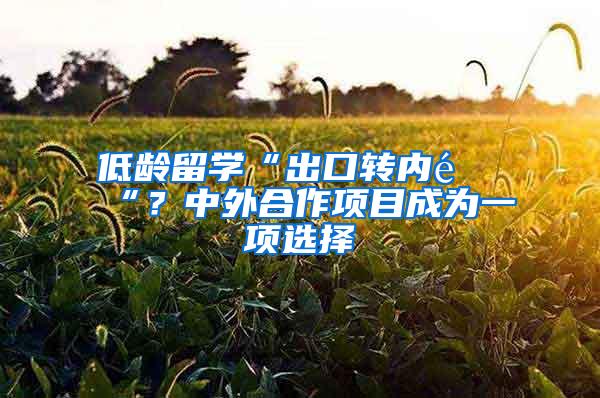 低龄留学“出口转内销“？中外合作项目成为一项选择