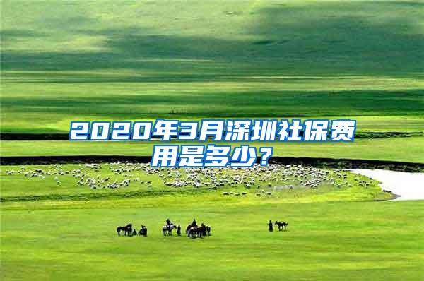 2020年3月深圳社保费用是多少？