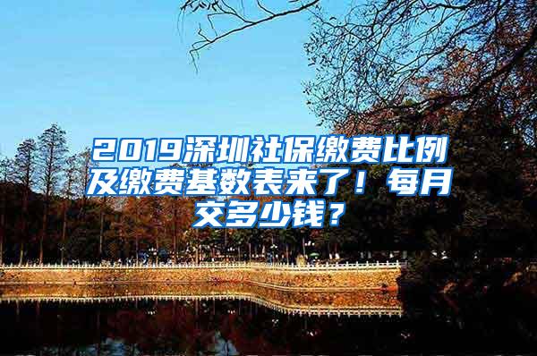 2019深圳社保缴费比例及缴费基数表来了！每月交多少钱？