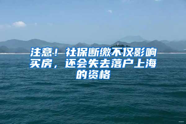 注意！社保断缴不仅影响买房，还会失去落户上海的资格