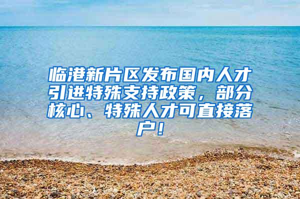 临港新片区发布国内人才引进特殊支持政策，部分核心、特殊人才可直接落户！