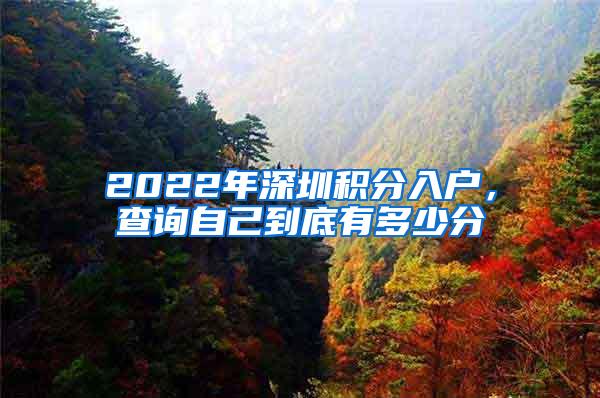 2022年深圳积分入户，查询自己到底有多少分