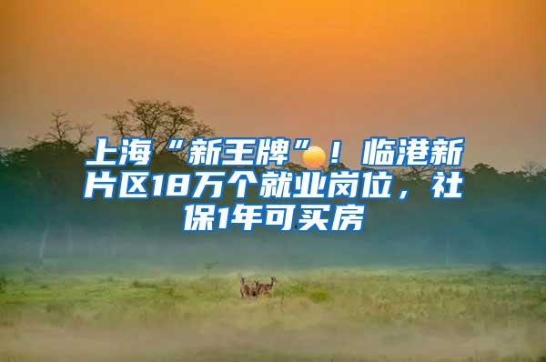 上海“新王牌”！临港新片区18万个就业岗位，社保1年可买房