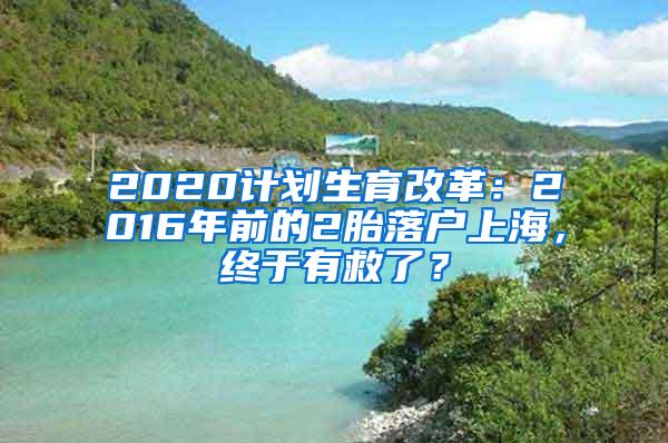 2020计划生育改革：2016年前的2胎落户上海，终于有救了？